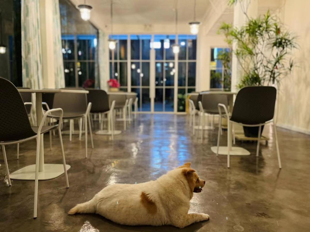 Shenzhen Loft Youth Hostel Esterno foto
